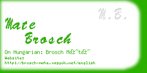 mate brosch business card